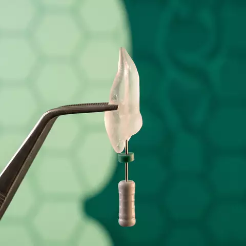 VELscope e Diagnosi Precoce